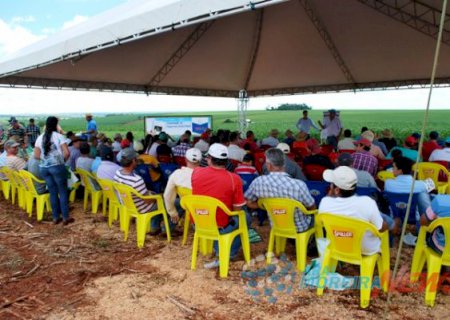 Cooperativa Lar realiza Dia de Campo em Aral Moreira