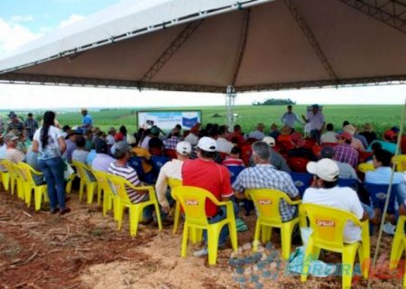 Cooperativa Lar promove Dia de Campo neste sábado, dia 14