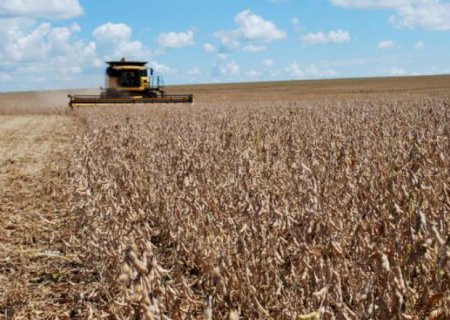 Com boa expectativa, produtores de Aral Moreira iniciam colheita da soja