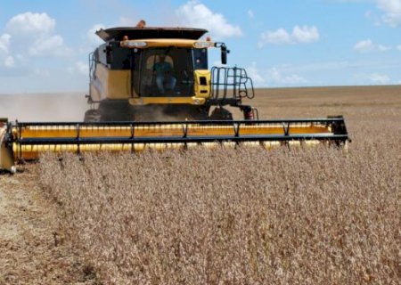 Aral Moreira supera municípios de MS e é destaque em produtividade com 60,5 sc/ha