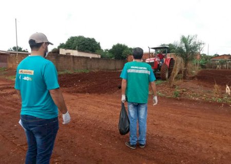 Prefeitura de Aral Moreira intensifica serviços de limpeza e amplia combate a Dengue