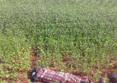 Homens são torturados até a morte e 'empacotados' na fronteira