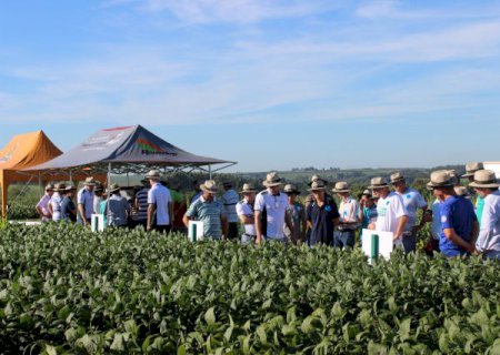 Cooperativa Lar realiza Dia de Campo neste sábado, 21