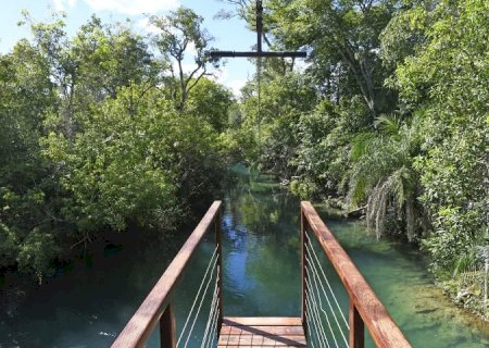 Com alta de 11,7%, turismo cresce em Mato Grosso do Sul e impulsiona a economia regional